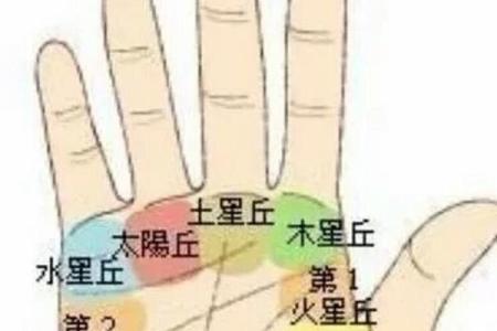 怎么用手算命