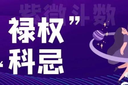 意象紫薇斗数
