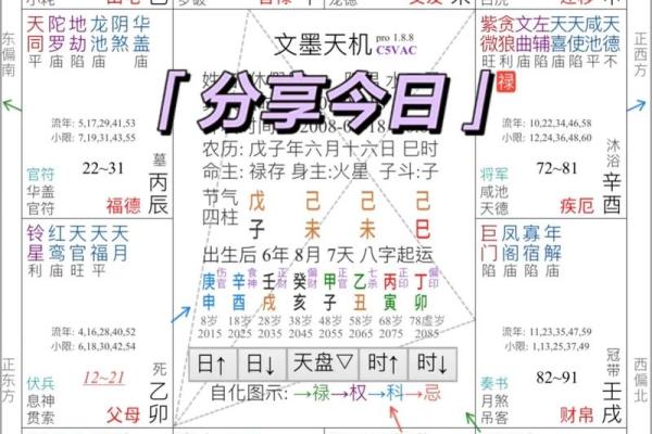看紫薇斗数的app