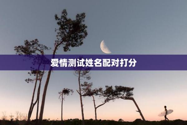 爱情姓名配对图片男孩子 爱情姓名配对测试打分？