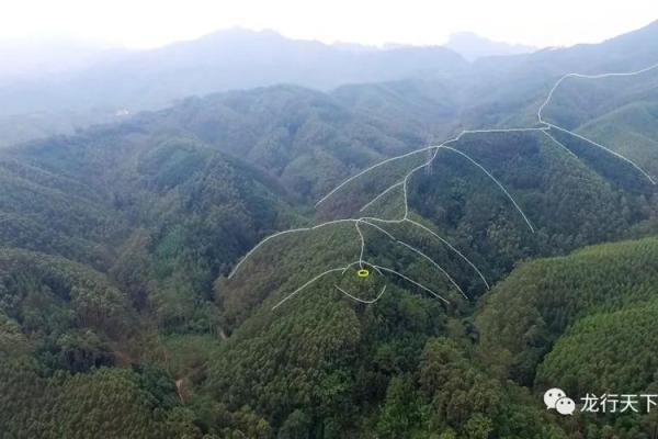 山顶老人的风水