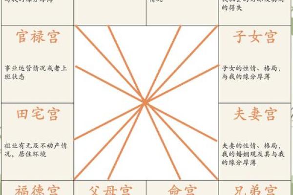 紫微斗数诸星落诸宫之:巨门星子女宫详解 紫微斗数诸星落诸宫之:巨门星子女宫详解