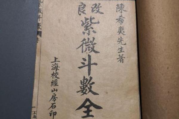 子时紫薇斗数
