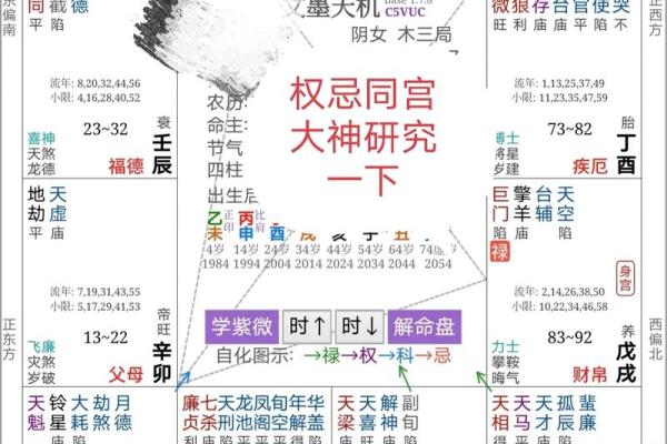 算命紫薇斗数算命