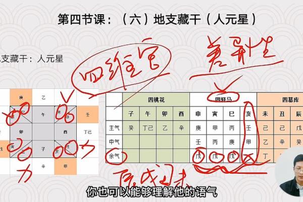 四柱八字基础知识，地支藏干的基本原理
