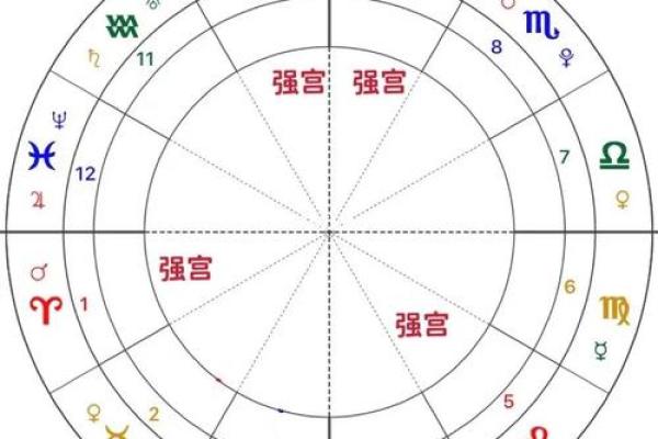 紫薇斗数二胎看那个宫位
