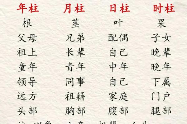 卯时八字
