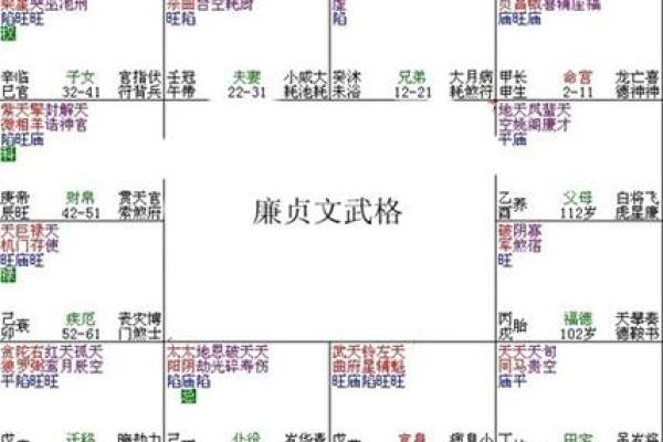 紫薇斗数文机