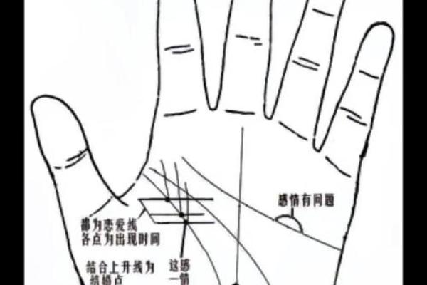 男人手相算命图解揭密男人命运