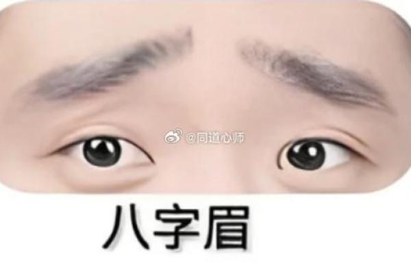 八字眉眉尾下垂的男人面相解析 八字眉眉尾下垂的男人面相解析