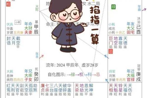 紫薇斗数算命软件