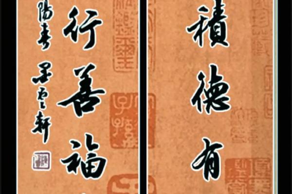 什么八字带贵子，命带天月二德前世可积德，一起看看吧