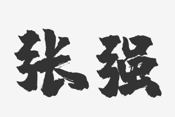 张强名字打分测试