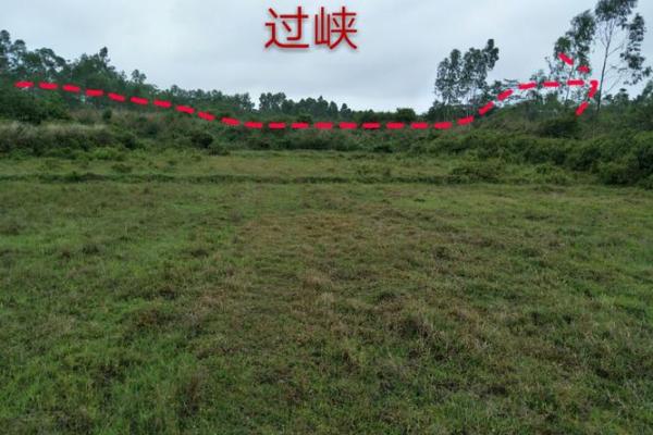 天刀小房子怎么堆风水