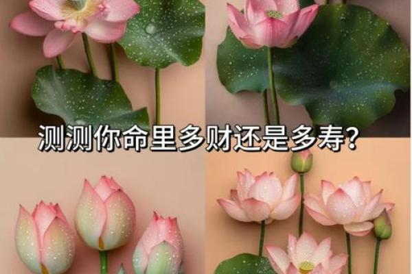 心理测试：你最想把哪束花摆在客厅里，测出你一生的命运如何