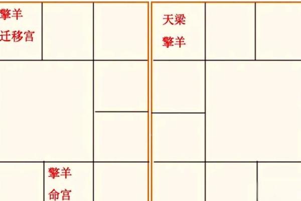 紫薇斗数忌星煞星