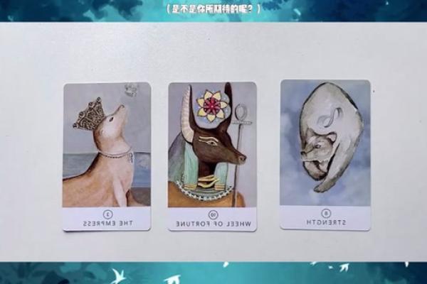 塔罗测试你该如何走出失恋阴影迎接全新人生？