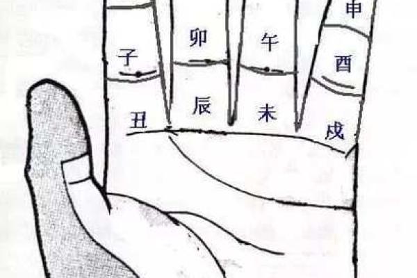 八字自坐冠带是什么意思,八字中自坐胎