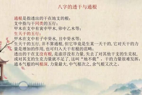 八字中的通根何解 八字通根含义是什么