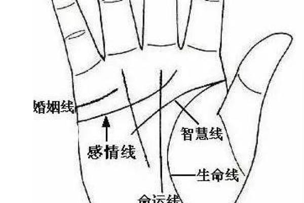 胎记算命图解好坏