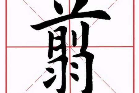 羽的八字