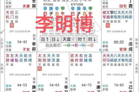 看紫薇斗数的app