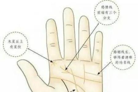 财运线是哪一条？财运线算命图解