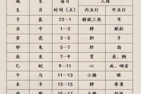 五行八字