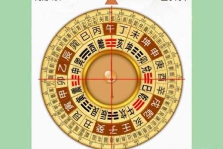 八字酉代表什么