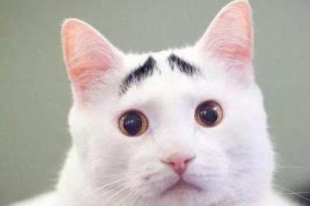 倒八字眉