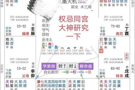 算命紫薇斗数算命