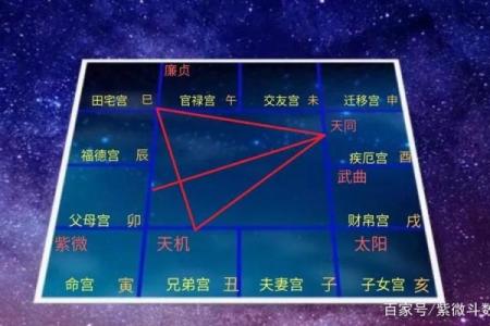 紫薇斗数看身高体型
