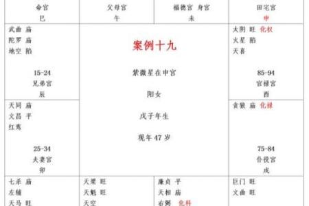 紫薇斗数寿限