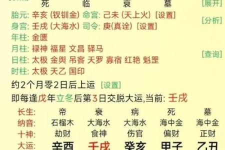 八字运势查询,八字终身运程详批免费
