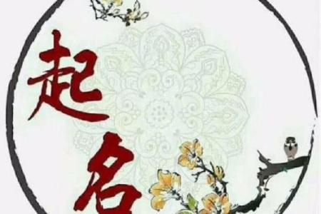 姓名与八字