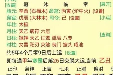 已卯八字