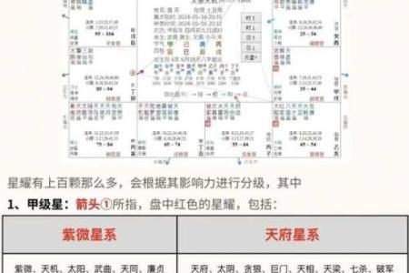 紫薇斗数文曲旺