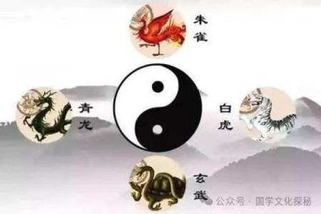 风水学房子左右有门口