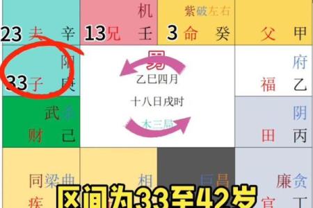 紫薇斗数拍盘