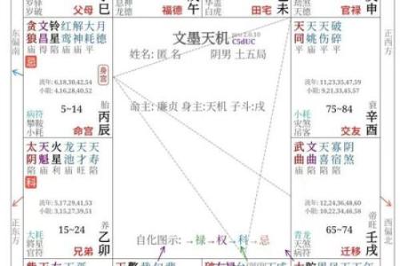 紫微斗数之子女宫与诸星，贪狼星在子女宫是什么意思？