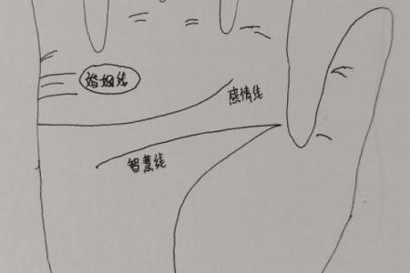 男人手相算命图解揭密男人命运