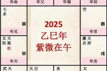 紫薇星年运势