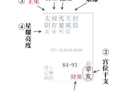 紫微斗数基本知识,紫微斗数常识