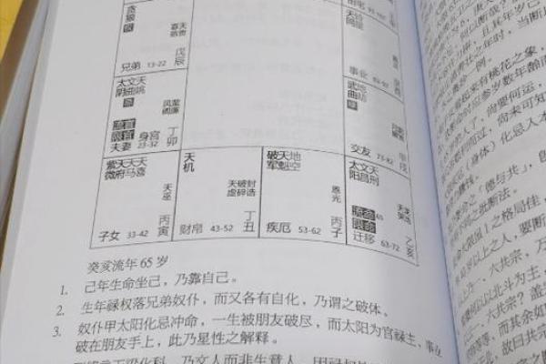 紫薇斗数书推荐