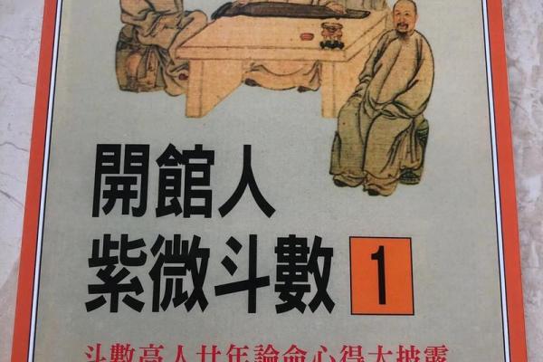 紫薇斗数原版白话书