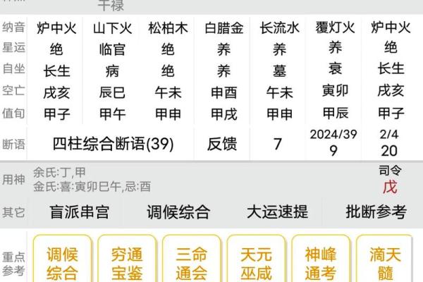 国际八字排盘