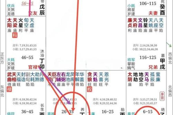 紫薇星入兄弟宫旺科