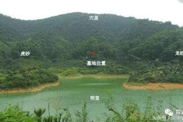下山凤形风水如何在家中营造良好的风水环境