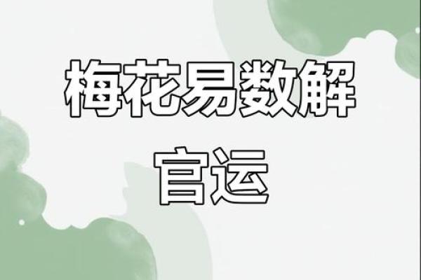 紫薇斗数与梅花易