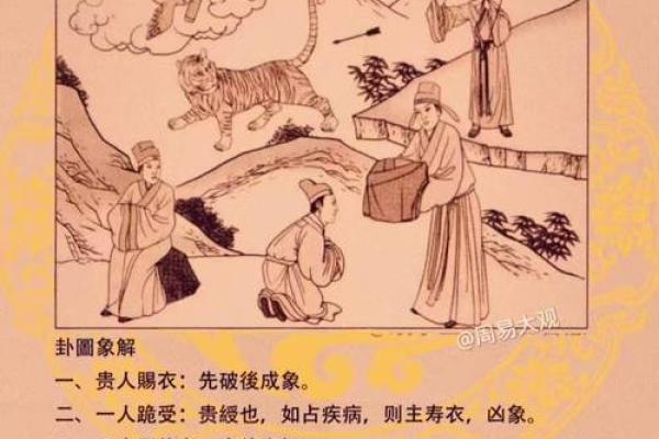 属相算命2024年运势